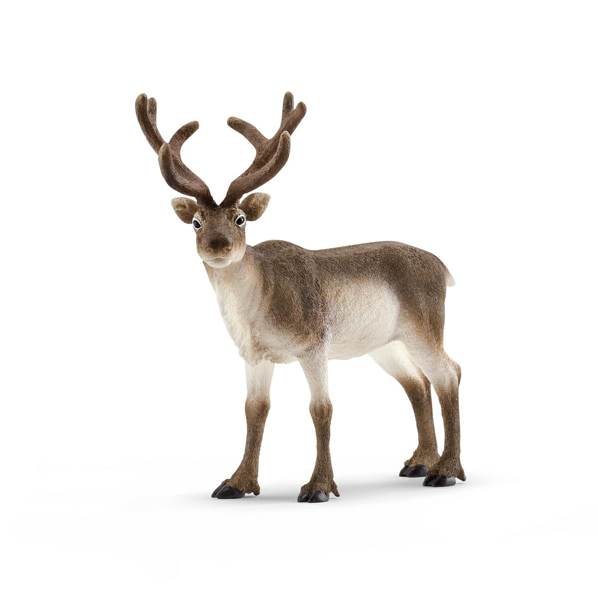 シュライヒ(schleich) トナカイ Wild Life/ワイルドライフ 14837