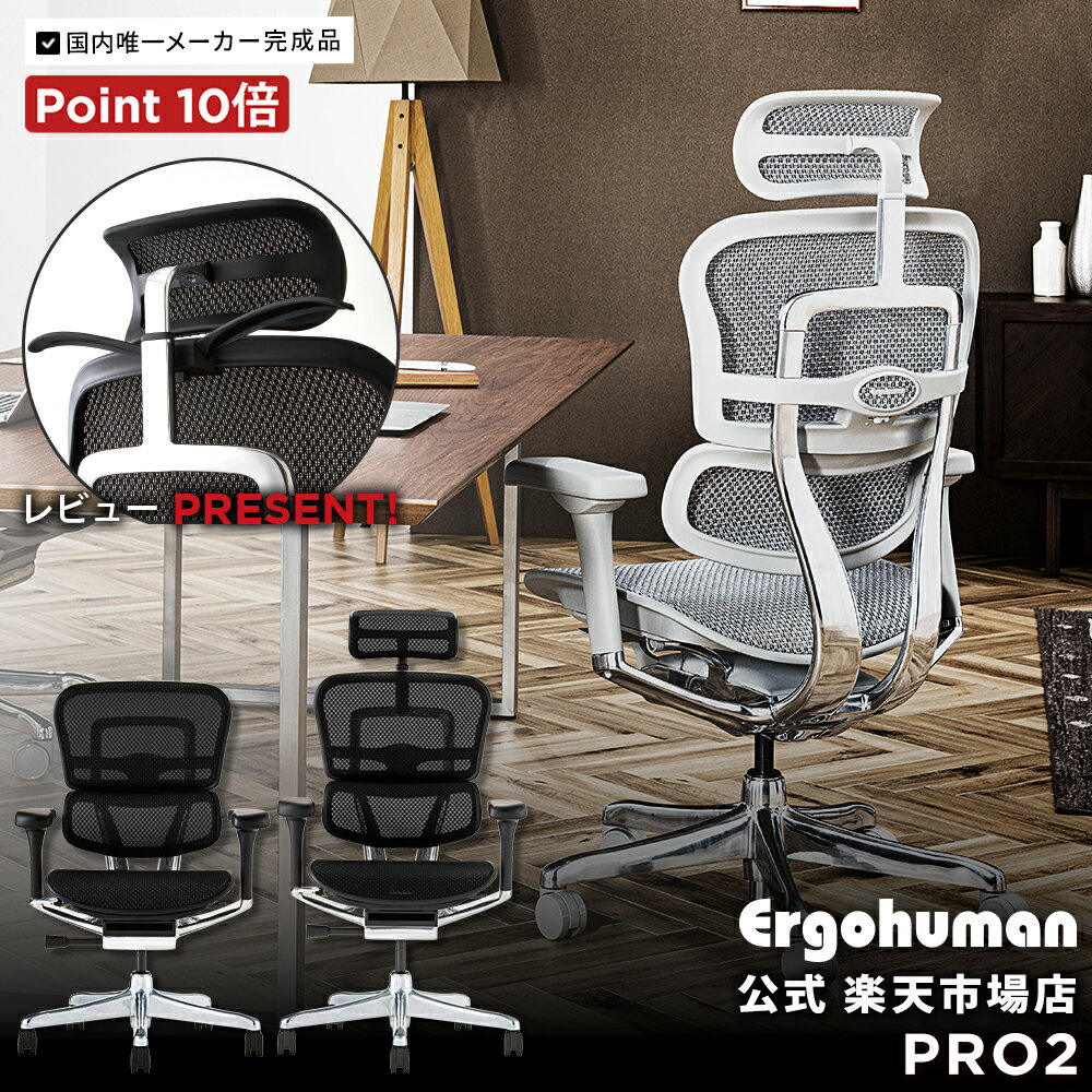 【メーカー組立済完成品】エルゴヒューマンプロ2【開梱・設置・梱包材処分無料・豪華レビュー特典・ポイント10倍】アルミフレーム/ヘッドレスト/独立ランバーサポート/高機能メッシュ オフィスチェア/EHP2-(HAM or LAM)-DR / 5Dアーム選択可 【沖縄・離島以外送料無料】